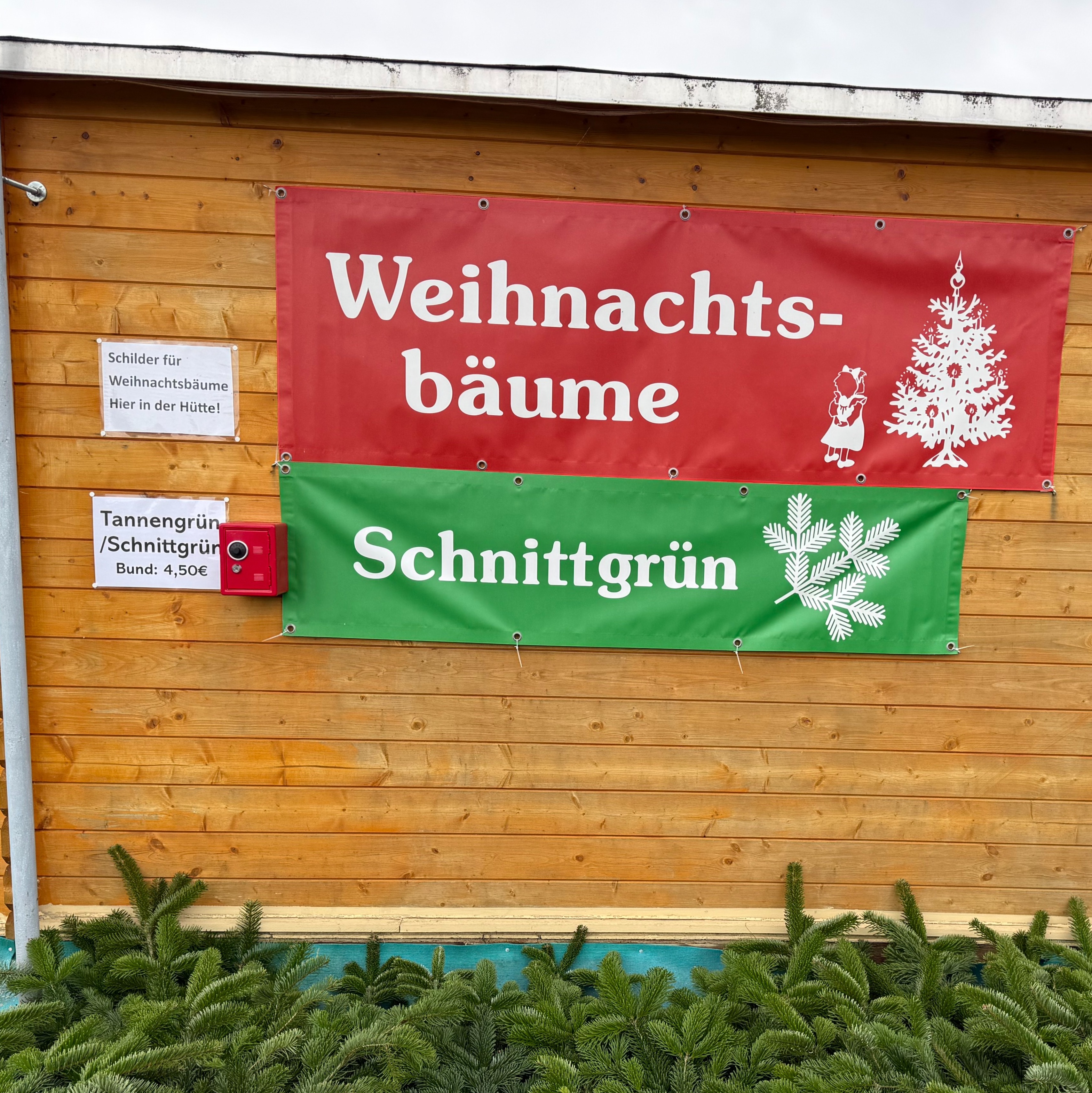 Verkaufsstand Tannebäume